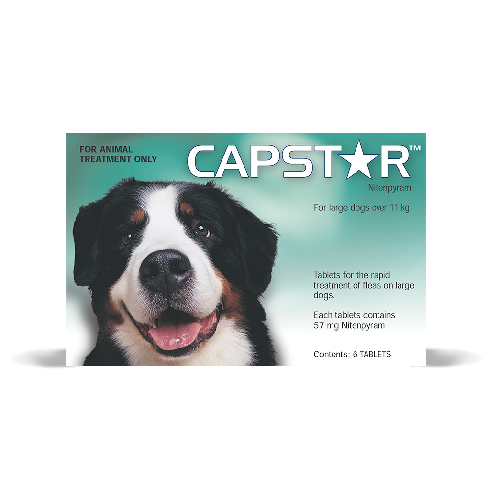 capstar and bravecto together