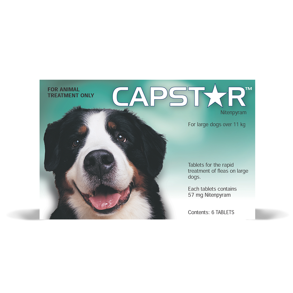 capstar and bravecto together