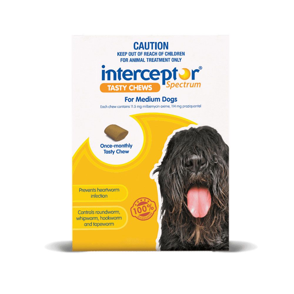 Interceptor deals dog med