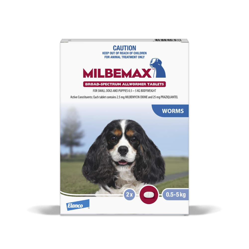 best allwormer for dogs